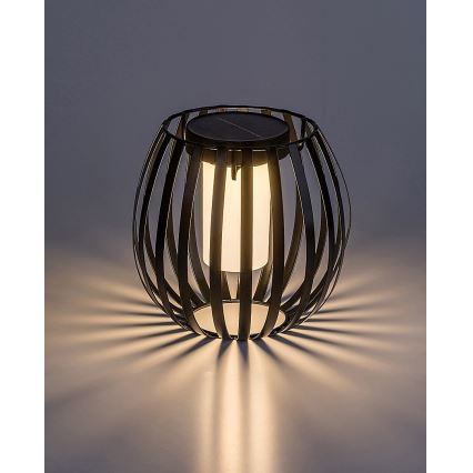 Rabalux - LED solcellelampe LED/1W/1,2V 300mAh IP44