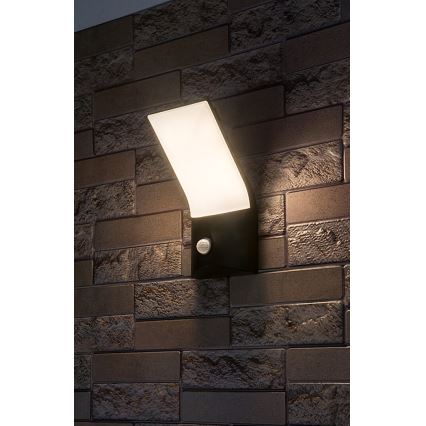 Rabalux - LED Udendørs væglampe med sensor LED/10W/230V IP54