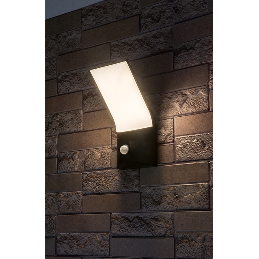 Rabalux - LED Udendørs væglampe med sensor LED/10W/230V IP54