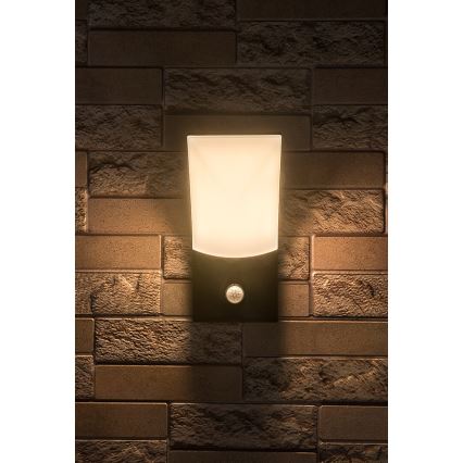 Rabalux - LED Udendørs væglampe med sensor LED/10W/230V IP54