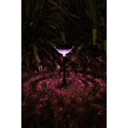 Rabalux - LED RGB Solcellelampe LED/0,1W/1,2V 600mAh IP44