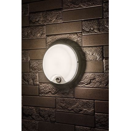 Rabalux - LED udendørs væglampe med sensor LED/18W/230V IP65 sort