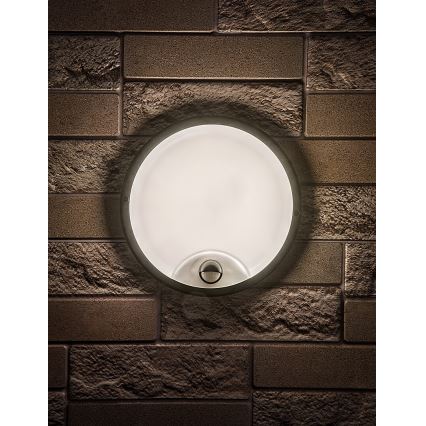 Rabalux - LED udendørs væglampe med sensor LED/18W/230V IP65 sort