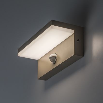 Rabalux - LED udendørs væglampe med sensor LED/9W/230V IP54 beige