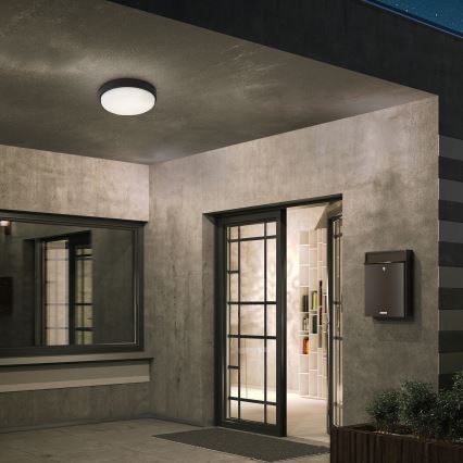 Rabalux - LED udendørs loftlampe LED/14W/230V IP54 sort