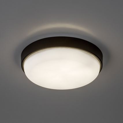 Rabalux - LED udendørs loftlampe LED/14W/230V IP54 sort