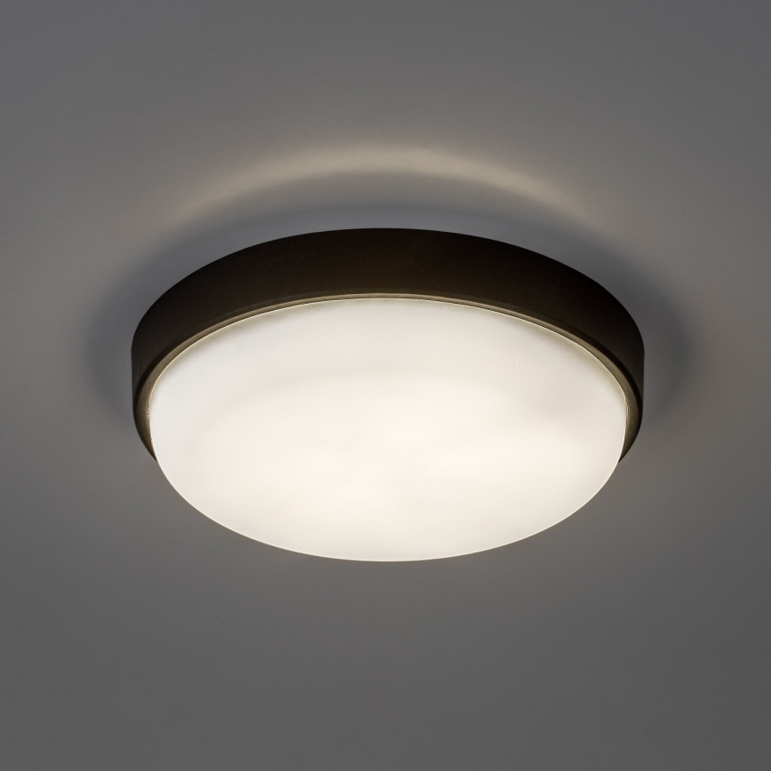 Rabalux - LED udendørs loftlampe LED/14W/230V IP54 sort