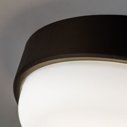 Rabalux - LED udendørs loftlampe LED/14W/230V IP54 sort