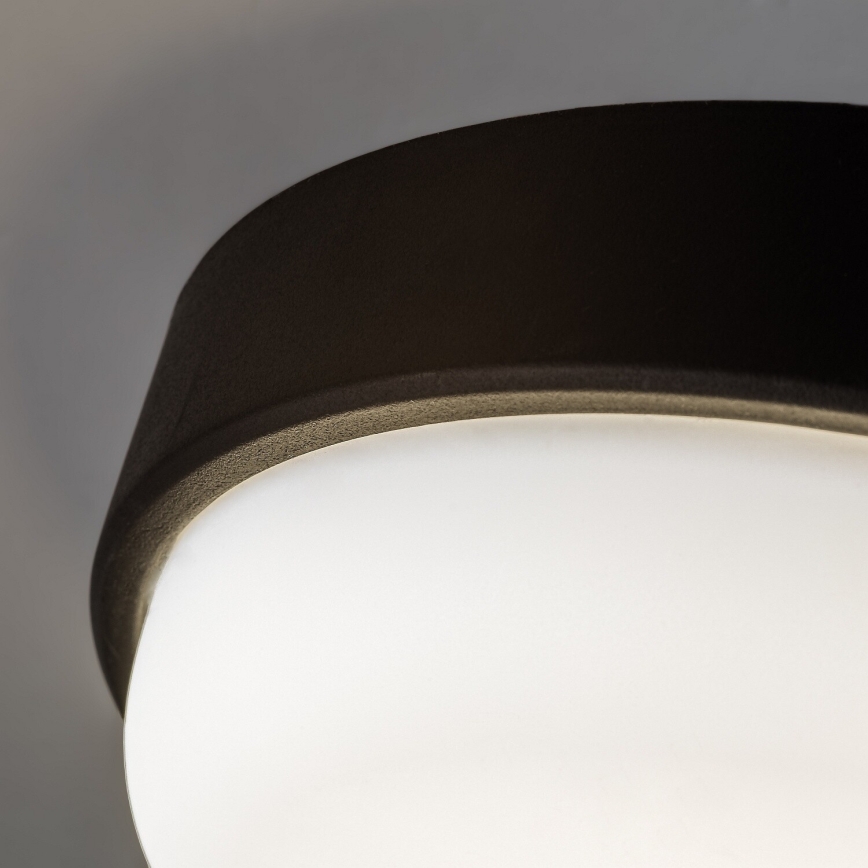 Rabalux - LED udendørs loftlampe LED/14W/230V IP54 sort