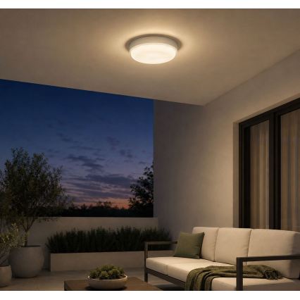 Rabalux - LED Udendørs loftlampe LED/14W/230V IP54 hvid