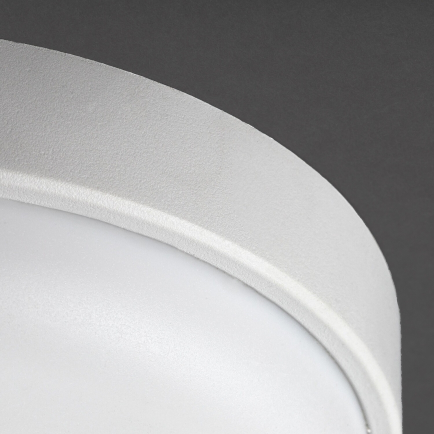 Rabalux - LED Udendørs loftlampe LED/14W/230V IP54 hvid