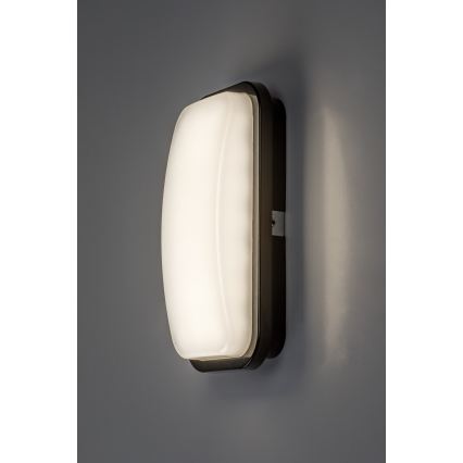 Rabalux - LED udendørs væglampe LED/15W/230V 4000K IP65