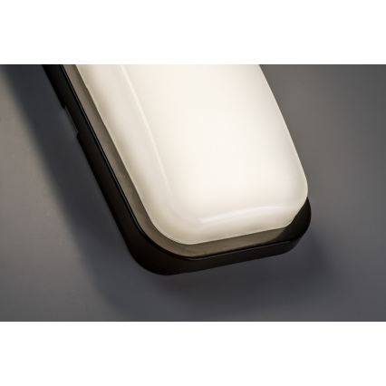 Rabalux - LED udendørs væglampe LED/15W/230V 4000K IP65