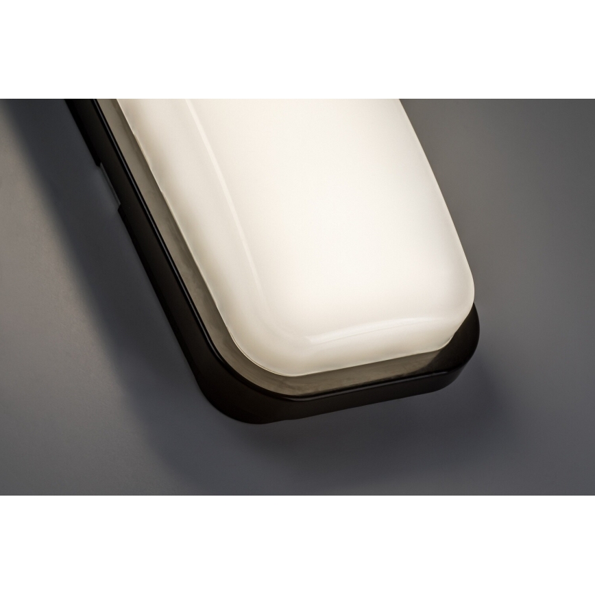 Rabalux - LED udendørs væglampe LED/15W/230V 4000K IP65