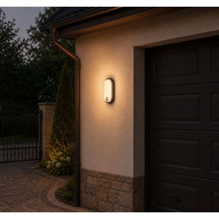 Rabalux - LED udendørs loftlampe med sensor LED/15W/230V IP65 sort