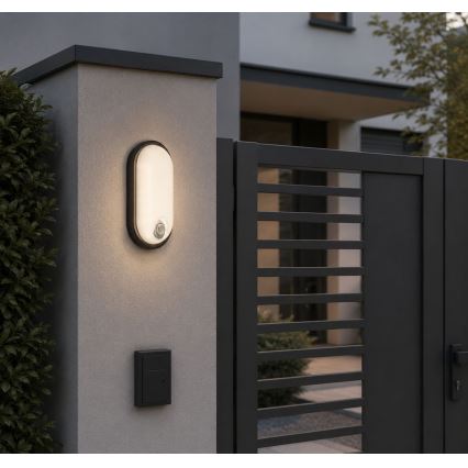 Rabalux - LED udendørs loftlampe med sensor LED/15W/230V IP65 sort