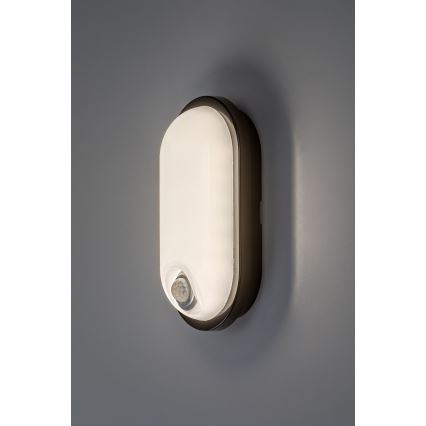 Rabalux - LED udendørs loftlampe med sensor LED/15W/230V IP65 sort