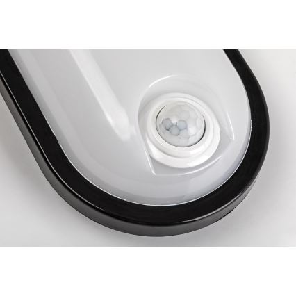 Rabalux - LED udendørs loftlampe med sensor LED/15W/230V IP65 sort