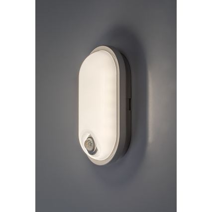 Rabalux - LED udendørs loftlampe med sensor LED/15W/230V IP65 hvid
