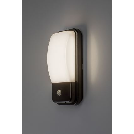 Rabalux - LED udendørs væglampe med bevægelsessensor LED/20W/230V IP65