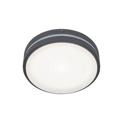 Rabalux 8847 - Udendørs LED væglampe HAMBURG LED/10W/230V IP44