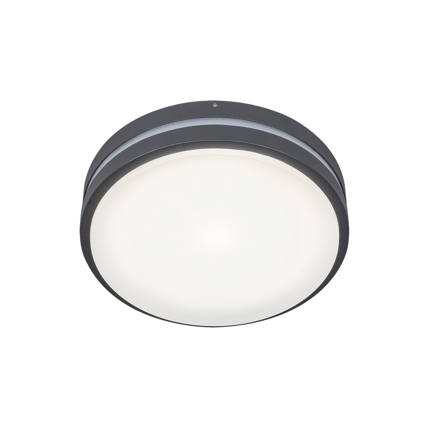 Rabalux 8847 - Udendørs LED væglampe HAMBURG LED/10W/230V IP44