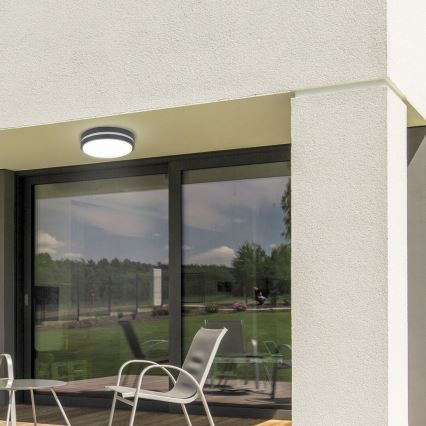 Rabalux 8848 - Udendørs LED væglampe HAMBURG LED/12W/230V IP44