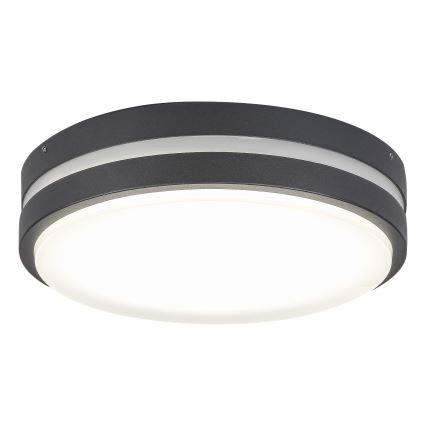 Rabalux 8848 - Udendørs LED væglampe HAMBURG LED/12W/230V IP44