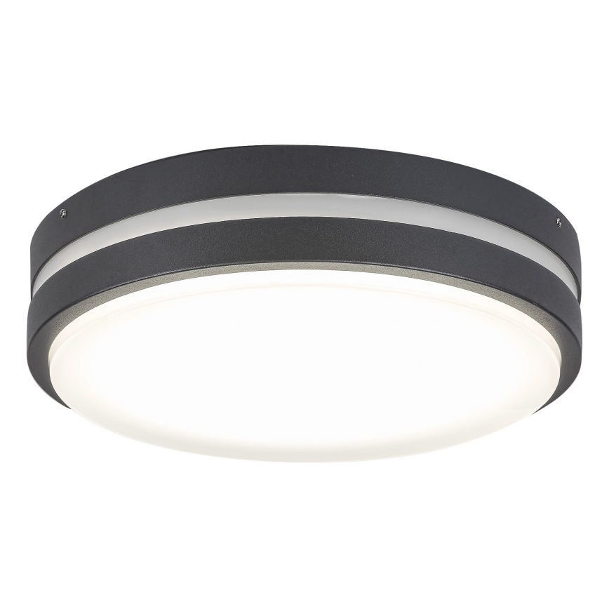 Rabalux 8848 - Udendørs LED væglampe HAMBURG LED/12W/230V IP44