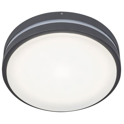Rabalux 8848 - Udendørs LED væglampe HAMBURG LED/12W/230V IP44