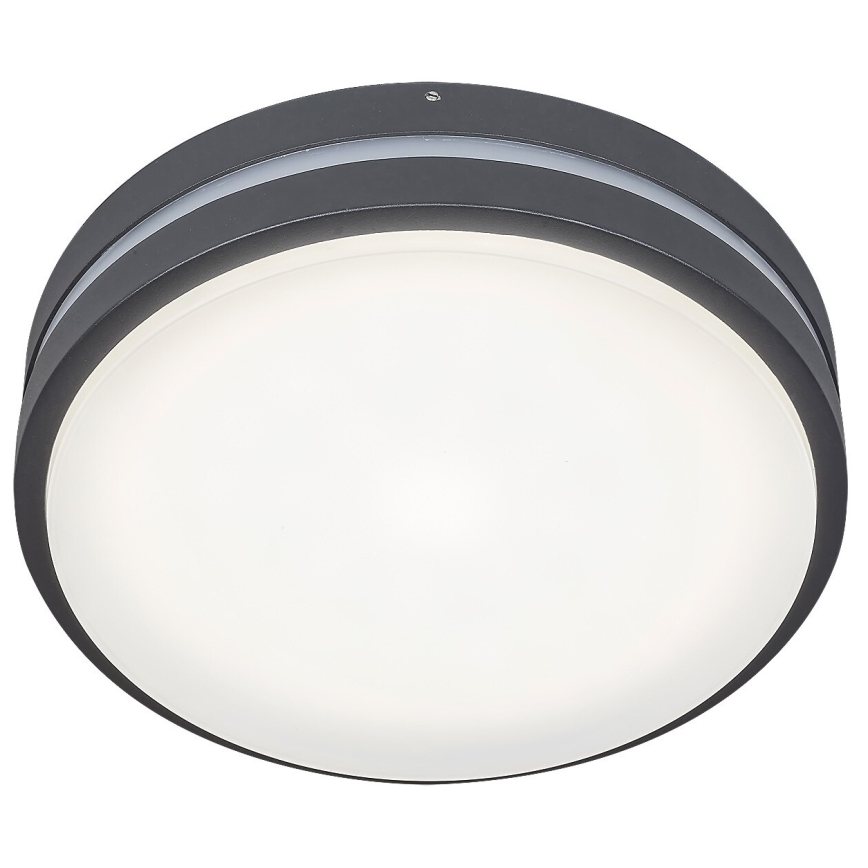 Rabalux 8848 - Udendørs LED væglampe HAMBURG LED/12W/230V IP44