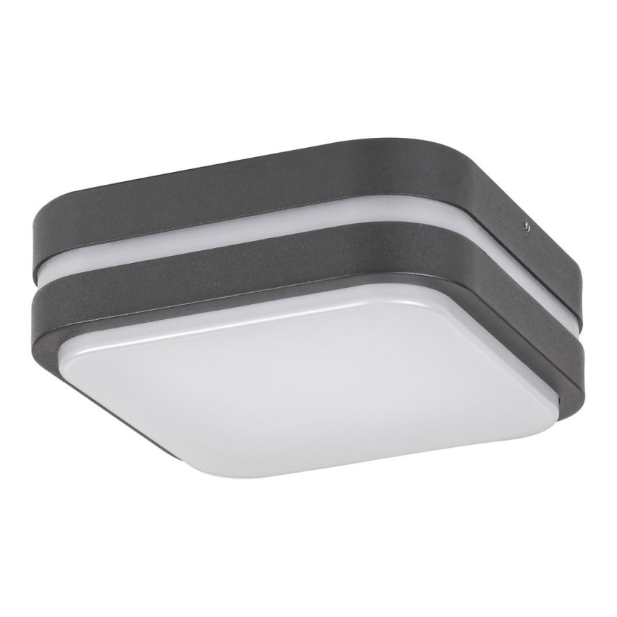 Rabalux 8849 - Udendørs LED væglampe HAMBURG LED/10W/230V IP44