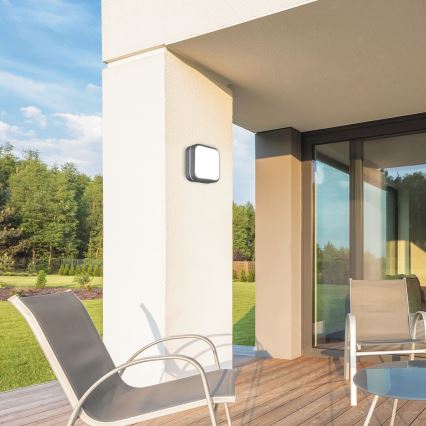 Rabalux 8849 - Udendørs LED væglampe HAMBURG LED/10W/230V IP44