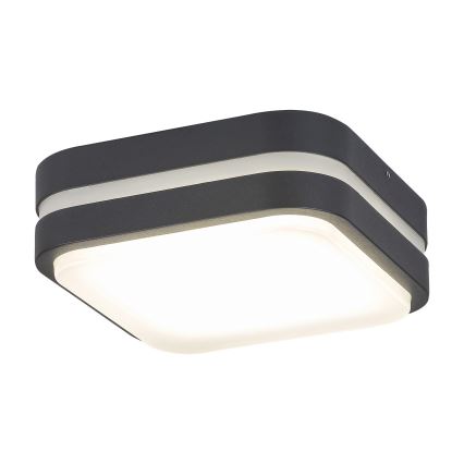 Rabalux 8849 - Udendørs LED væglampe HAMBURG LED/10W/230V IP44