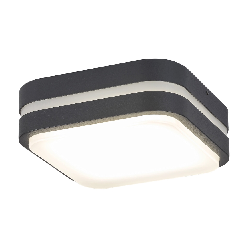 Rabalux 8849 - Udendørs LED væglampe HAMBURG LED/10W/230V IP44