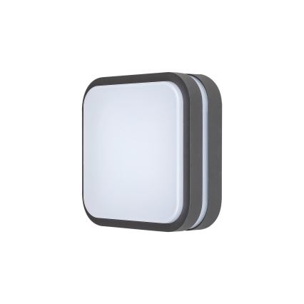 Rabalux 8849 - Udendørs LED væglampe HAMBURG LED/10W/230V IP44