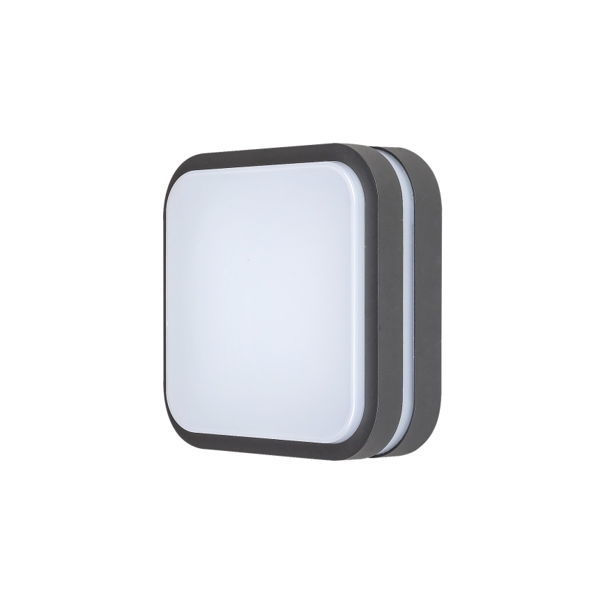 Rabalux 8849 - Udendørs LED væglampe HAMBURG LED/10W/230V IP44