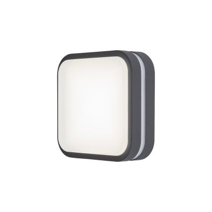 Rabalux 8849 - Udendørs LED væglampe HAMBURG LED/10W/230V IP44