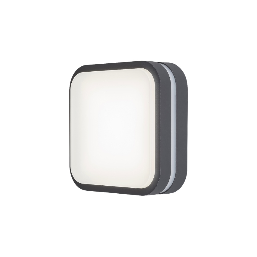 Rabalux 8849 - Udendørs LED væglampe HAMBURG LED/10W/230V IP44