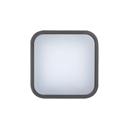 Rabalux 8849 - Udendørs LED væglampe HAMBURG LED/10W/230V IP44