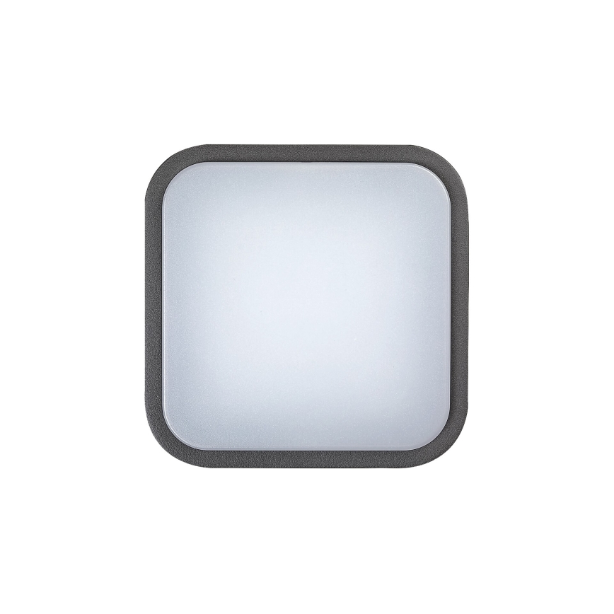 Rabalux 8849 - Udendørs LED væglampe HAMBURG LED/10W/230V IP44