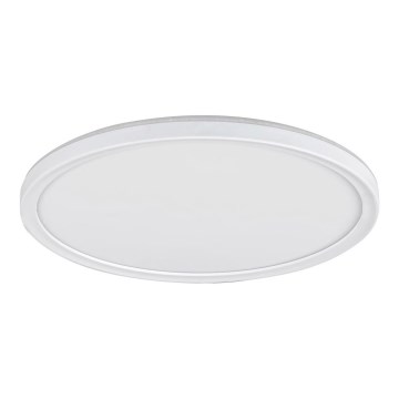 Rabalux - Dæmpbar LED-loftlampe LED/22W/230V Ø 42 cm