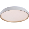 Rabalux - Dæmpbar LED-loftlampe LED/34W/230V 3000-6500K Ø 38 cm + fjernbetjening