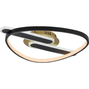 Rabalux - Dæmpbar LED-loftlampe LED/60W/230V 3000-6000K 53x45 cm + fjernbetjening