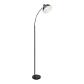 Rabalux - Gulvlampe 1xE27/40W/230V sort