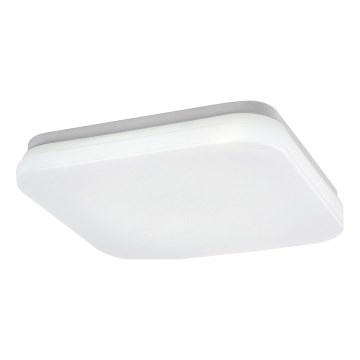 Rabalux - LED Badeværelsesloftlampe LED/12W/230V 3000/4000/6000K IP44
