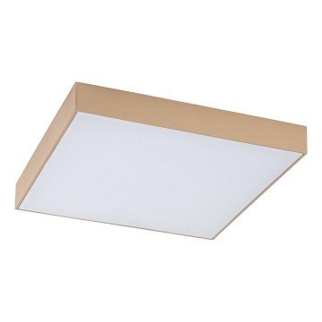 Rabalux - LED badeværelsesloftlampe LED/24W/230V 2800/4000/6000K IP44