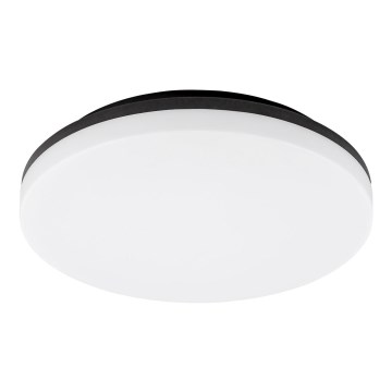 Rabalux - LED badeværelsesloftlampe LED/24W/230V IP54