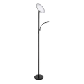 Rabalux - LED-dæmpbar gulvlampe LED/23W/230V 3000/4200/6500 sort