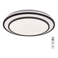 Rabalux - LED-dæmpbar loftlampe LED/40W/230V 3000-6500K sort Ø 49 cm + fjernbetjening